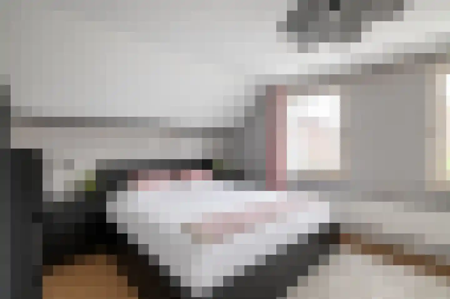 Kloostertuin 49 Beek en Donk thumbnail 28