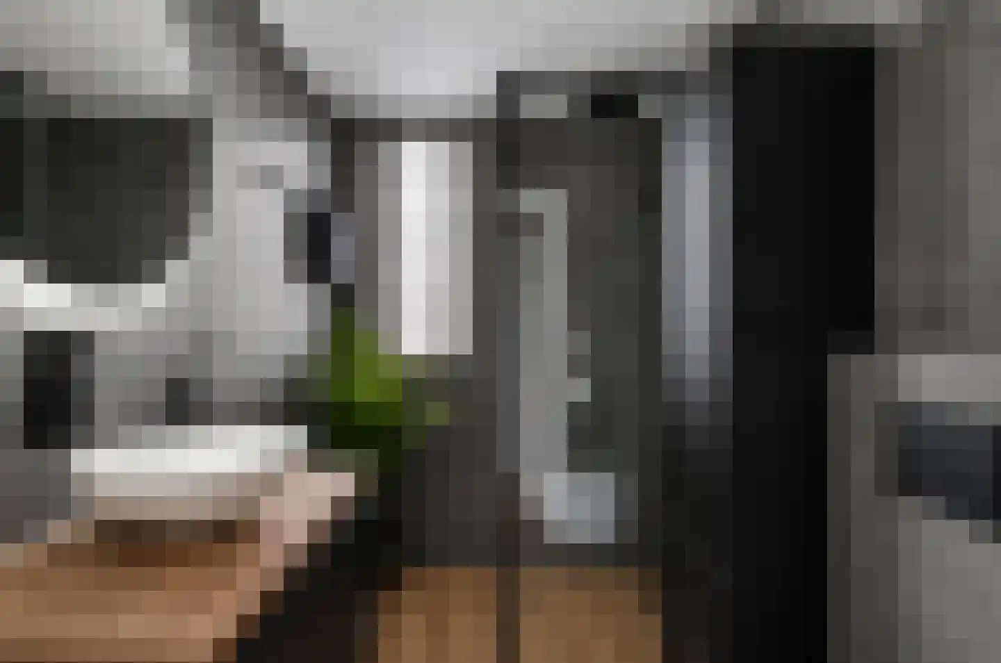 Kloostertuin 49 Beek en Donk thumbnail 30