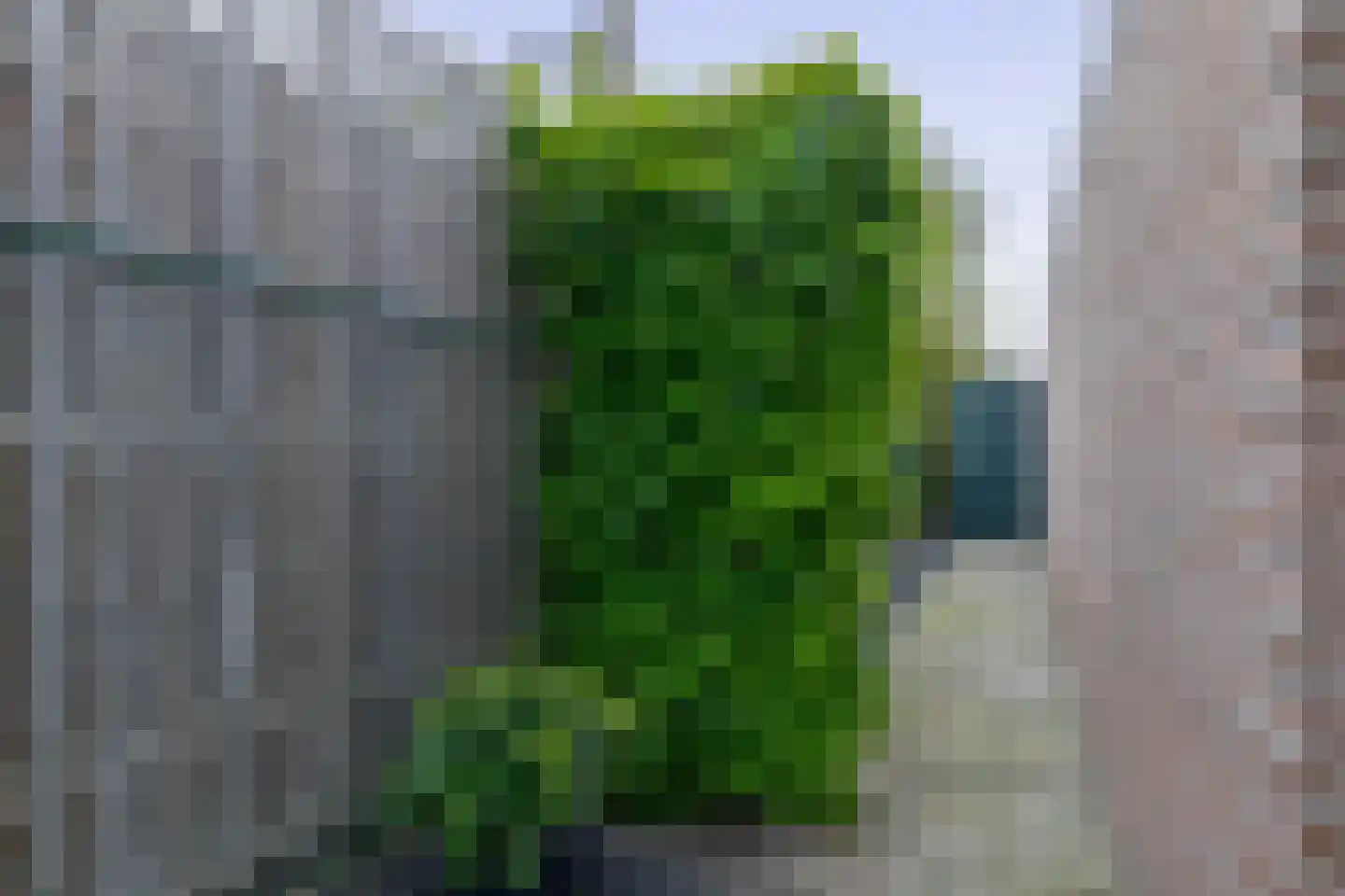 Kloostertuin 49 Beek en Donk thumbnail 41