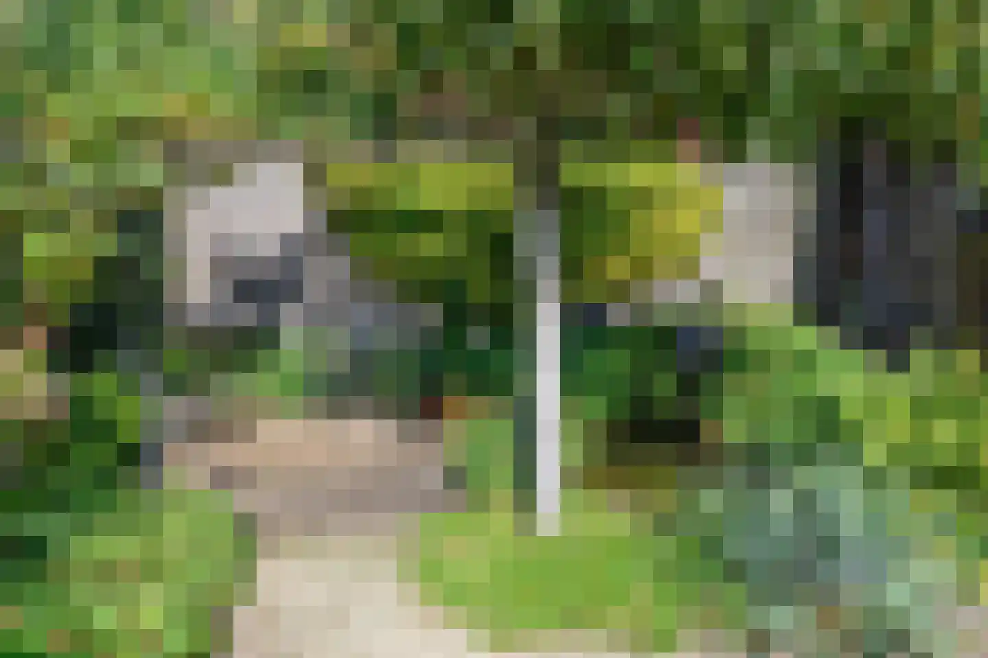 Kloostertuin 6 Molenhoek thumbnail 43
