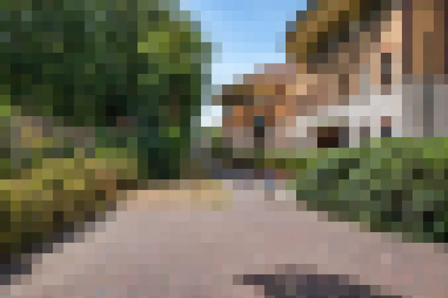 Kloostertuin 62 Bergen (NH) thumbnail 6