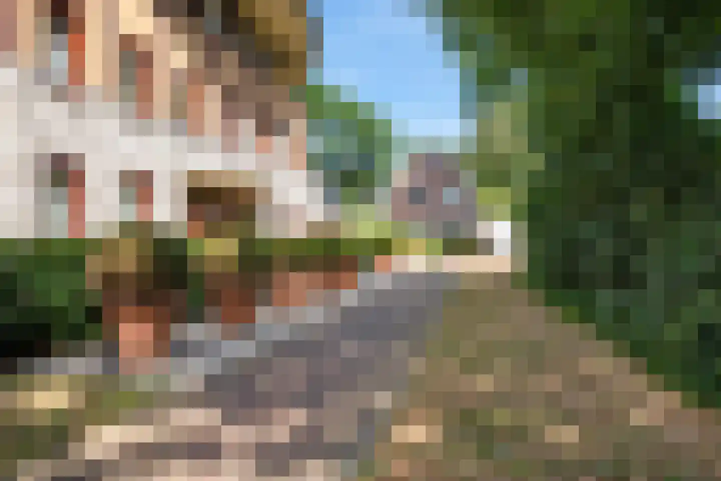 Kloostertuin 62 Bergen (NH) thumbnail 7