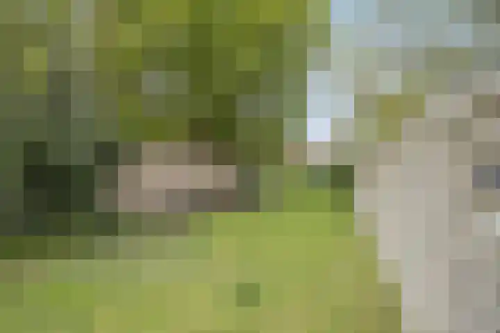 Kloostertuin 7 Reusel thumbnail 13