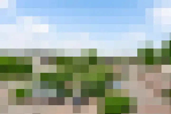 Kloostertuin 7 Reusel thumbnail 21