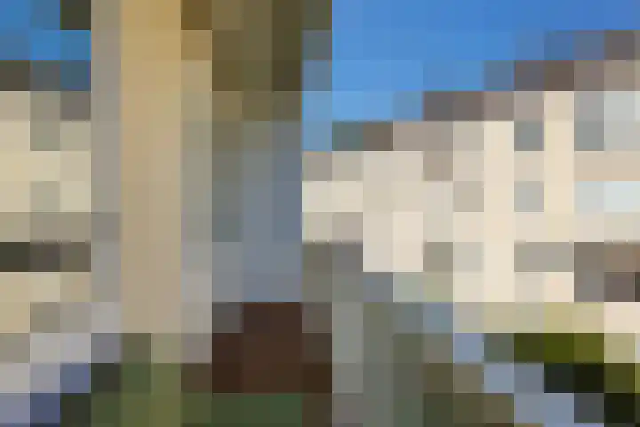Kloostertuin 7 Reusel thumbnail 29