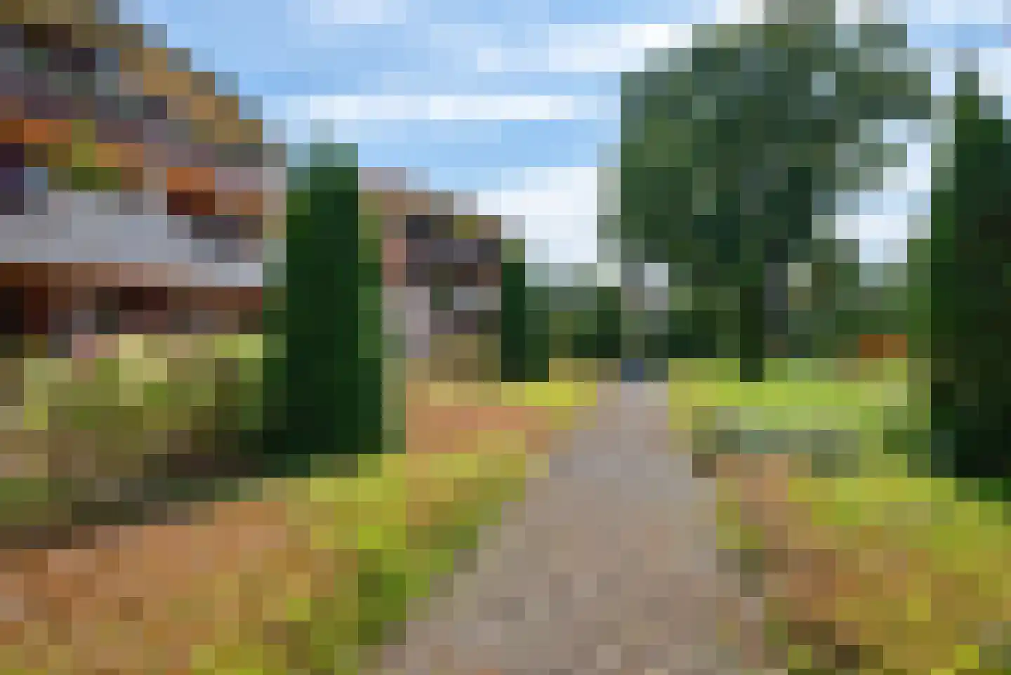 Kloostertuin 86 Bergen (NH) thumbnail 38