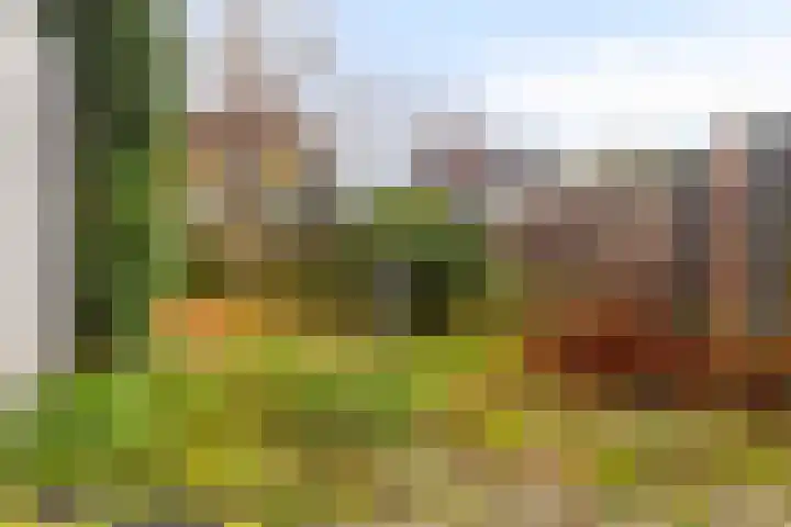 Kloosterturf 11 Steenbergen thumbnail 31