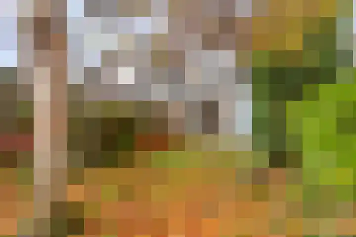 Kloosterturf 11 Steenbergen thumbnail 32