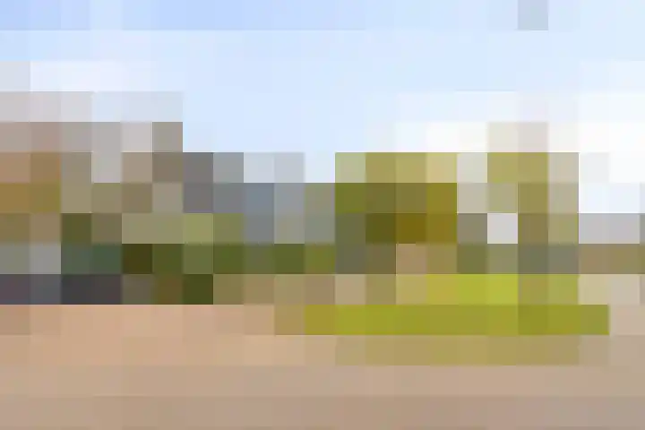 Kloosterturf 11 Steenbergen thumbnail 36