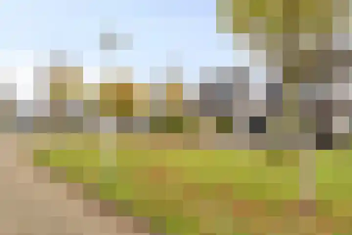 Kloosterturf 11 Steenbergen thumbnail 37
