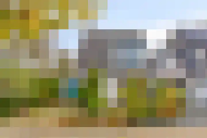 Kloosterturf 11 Steenbergen thumbnail 38