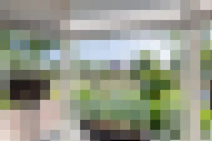 Kloosterveenweg 109 Ter Apel thumbnail 17