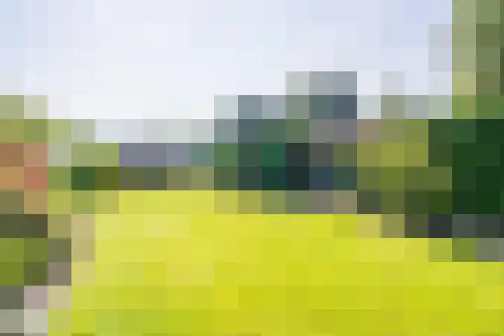 Kloosterveenweg 109 Ter Apel thumbnail 4