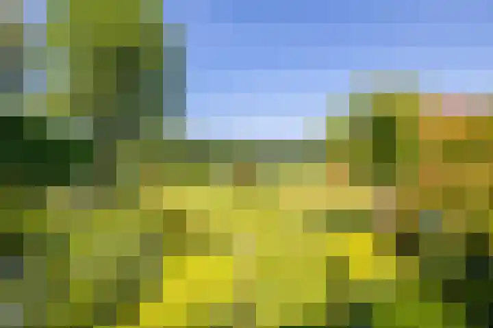Kloosterveenweg 109 Ter Apel thumbnail 44