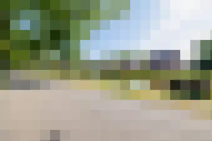 Kloosterveenweg 109 Ter Apel thumbnail 46