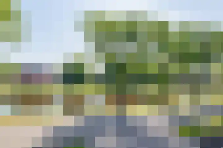 Kloosterveenweg 109 Ter Apel thumbnail 47