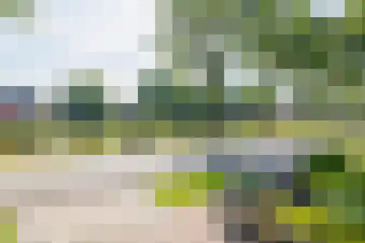 Kloosterveenweg 109 Ter Apel thumbnail 6