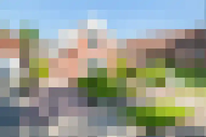 Kloosterveenweg 109 Ter Apel thumbnail 7