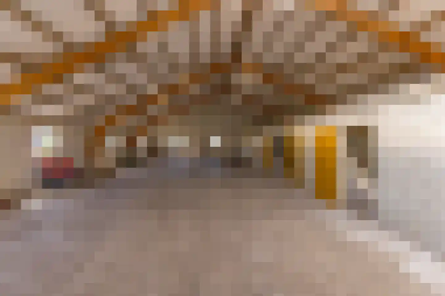 Kloosterveenweg 135 Ter Apel thumbnail 37