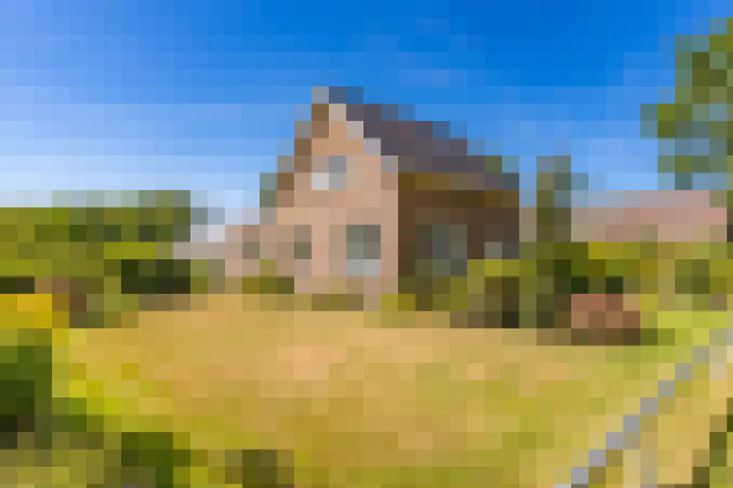 Kloosterveenweg 135 Ter Apel thumbnail 4