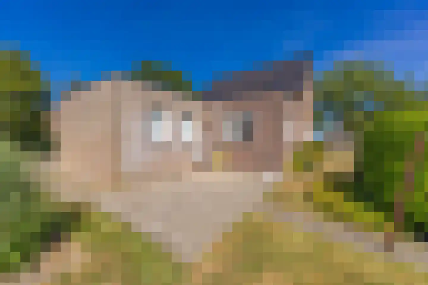 Kloosterveenweg 135 Ter Apel thumbnail 42