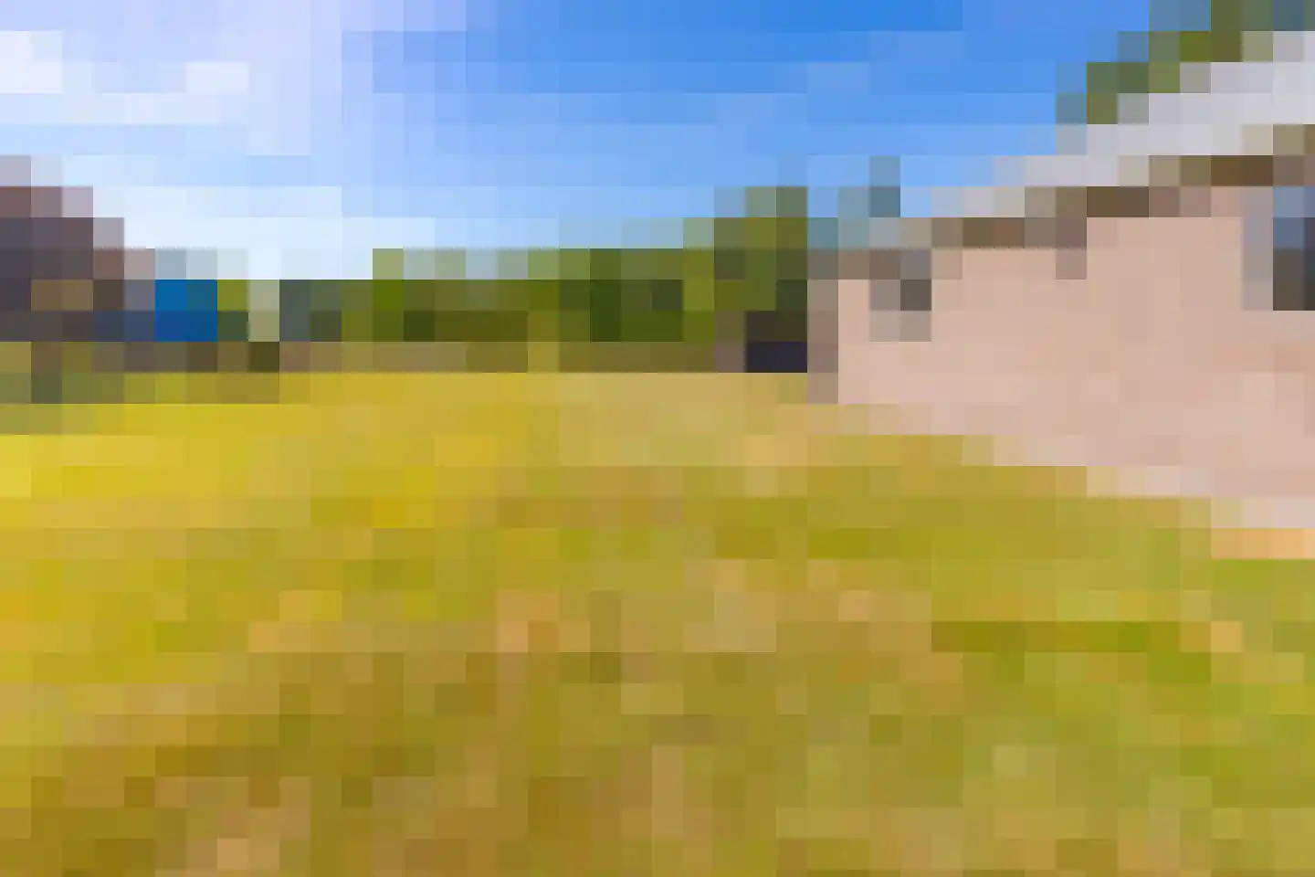 Kloosterveenweg 135 Ter Apel thumbnail 44