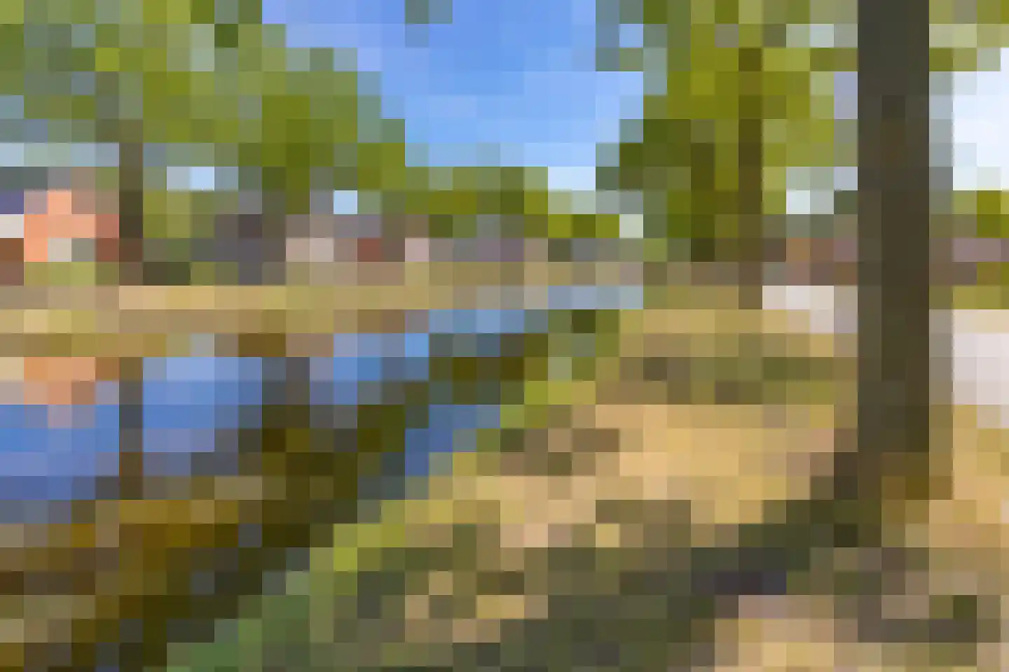 Kloosterveenweg 135 Ter Apel thumbnail 6