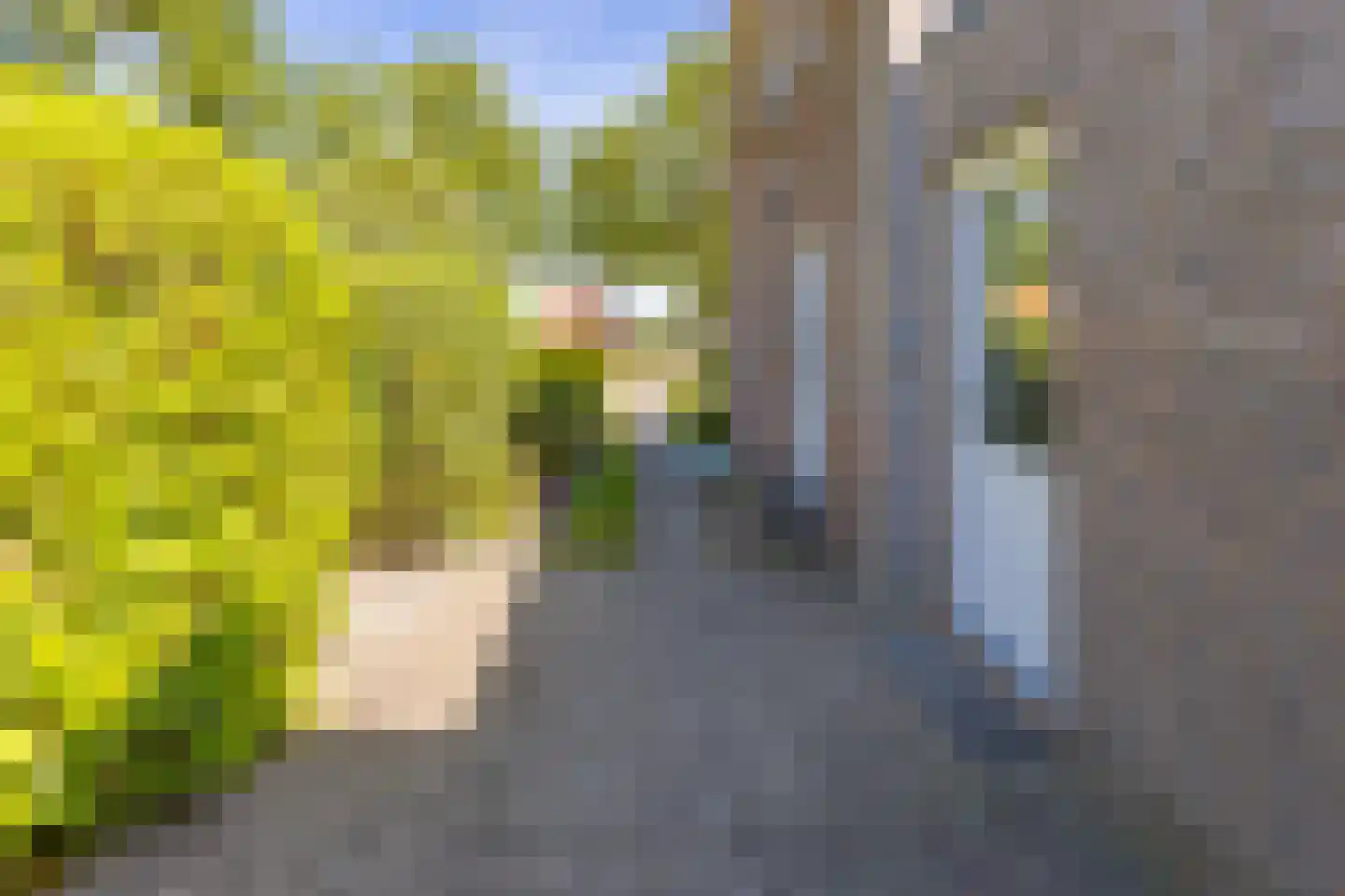 Kloosterveenweg 135 Ter Apel thumbnail 8