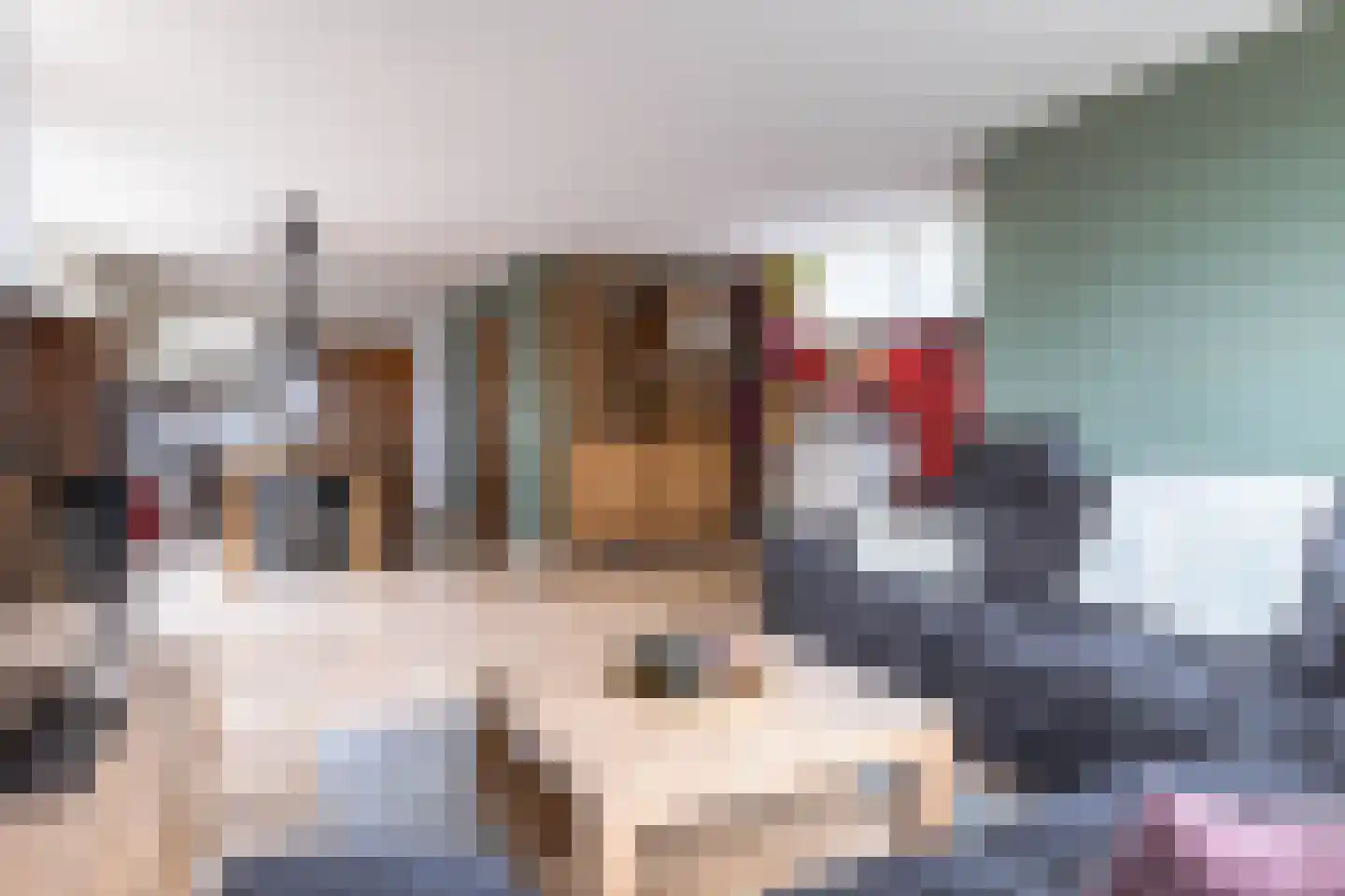 Kloosterveenweg 87 Ter Apel thumbnail 12