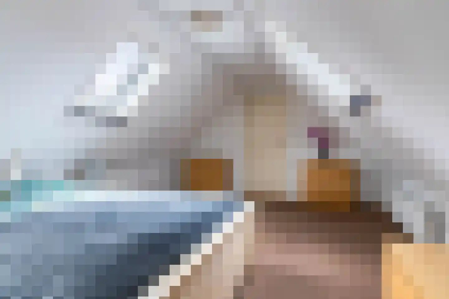 Kloosterveenweg 87 Ter Apel thumbnail 30