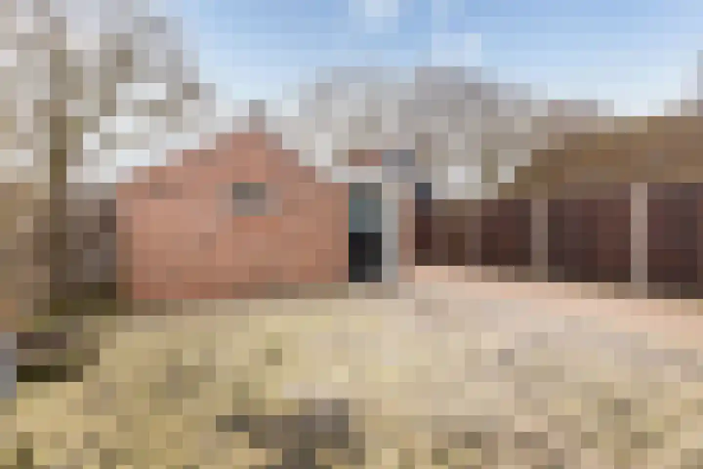 Kloosterveenweg 87 Ter Apel thumbnail 37