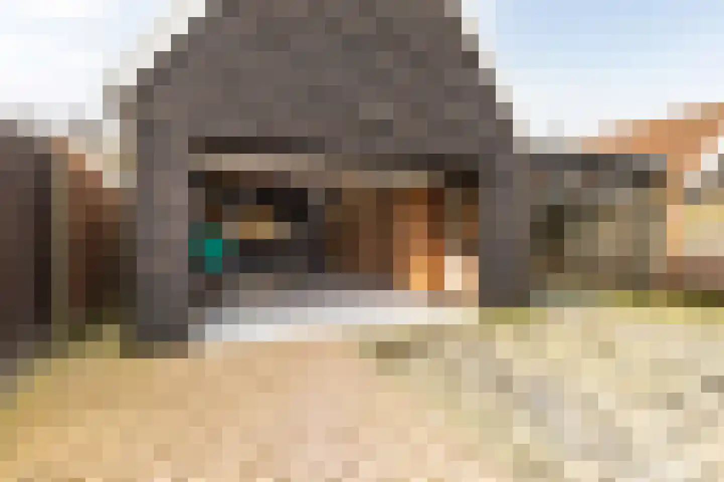 Kloosterveenweg 87 Ter Apel thumbnail 40