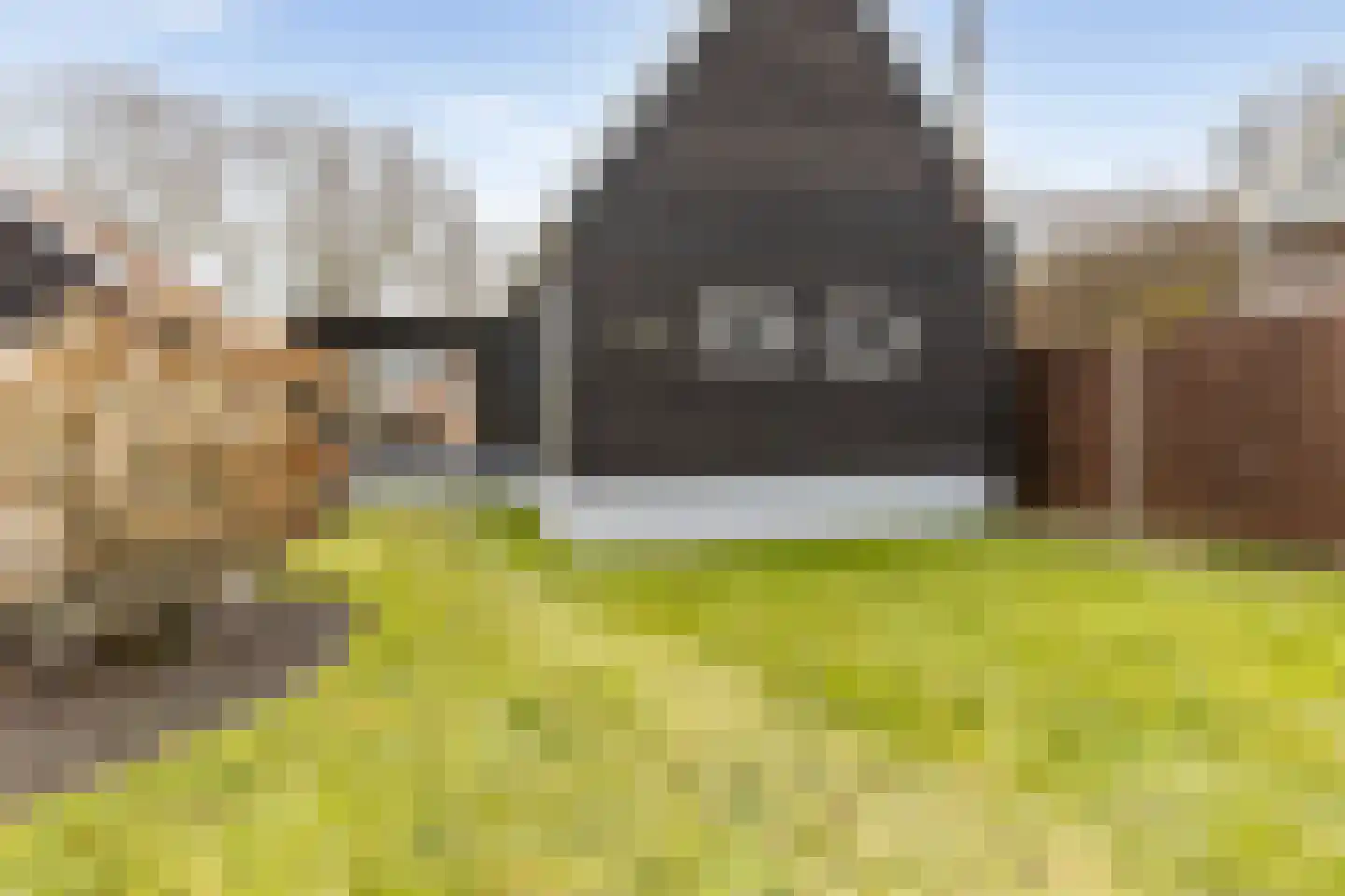 Kloosterveenweg 87 Ter Apel thumbnail 45