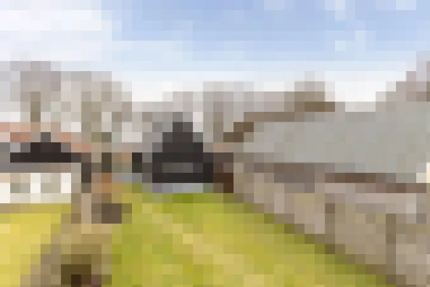 Kloosterveenweg 87 Ter Apel thumbnail 49