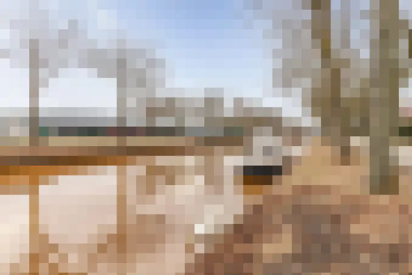 Kloosterveenweg 87 Ter Apel thumbnail 5