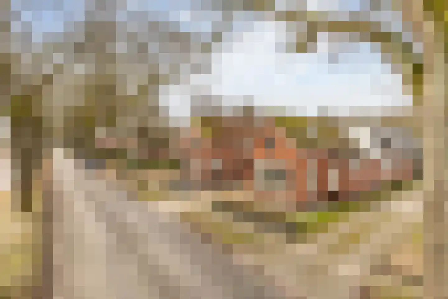 Kloosterveenweg 87 Ter Apel thumbnail 50