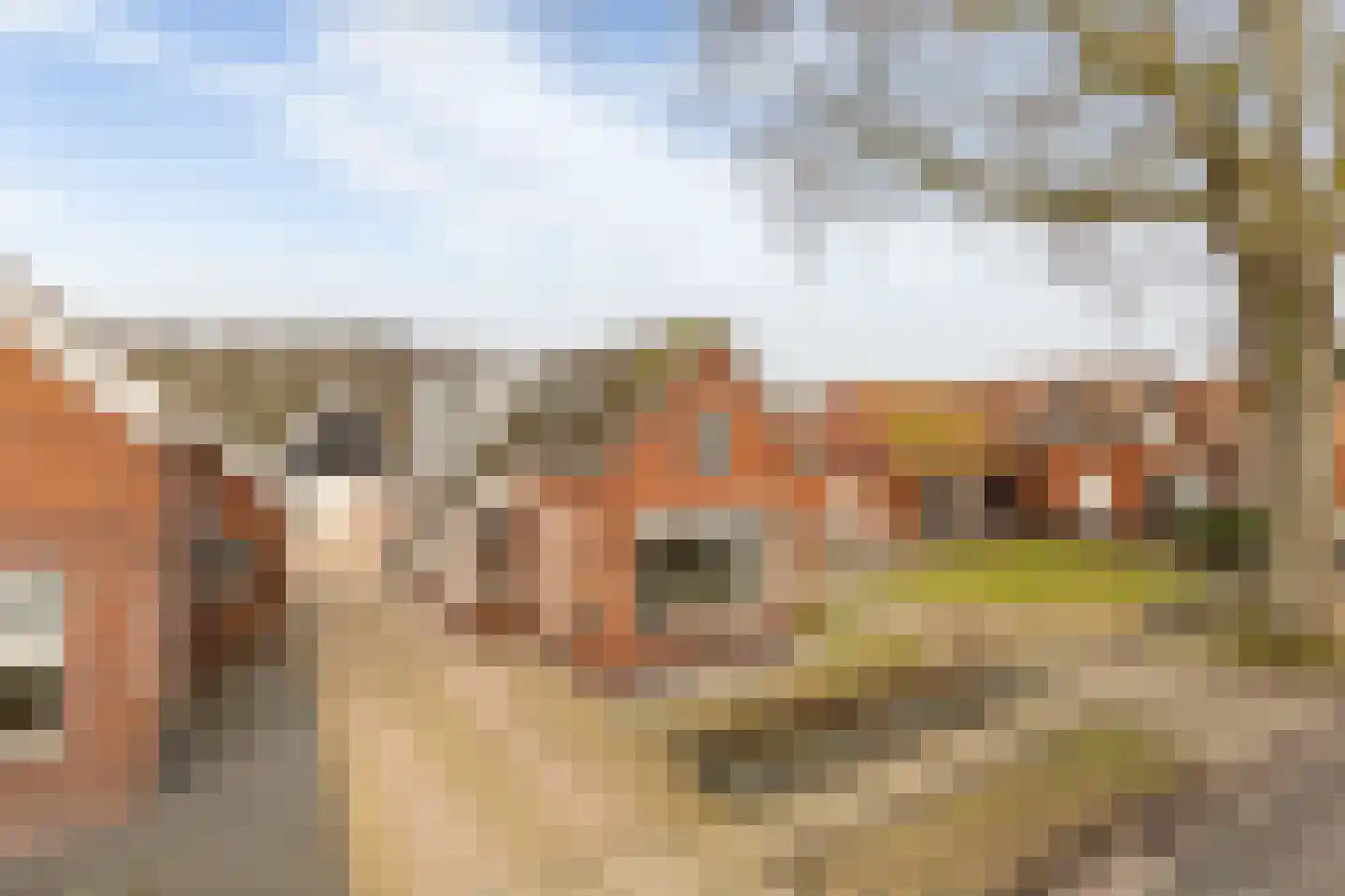 Kloosterveenweg 87 Ter Apel thumbnail 51