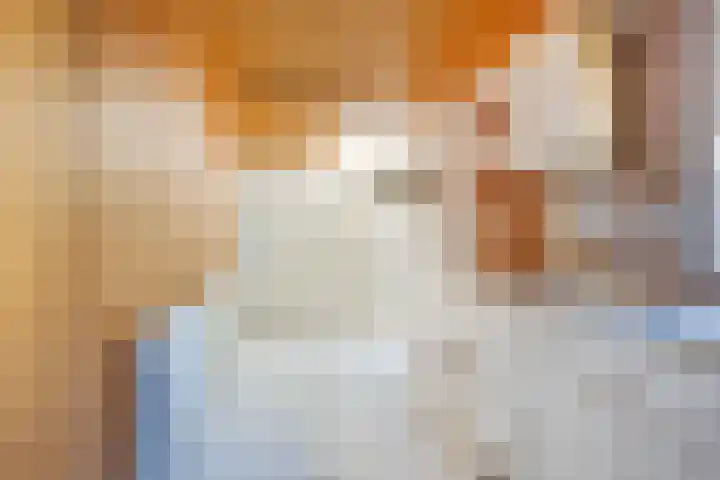 Kloosterwal 2 Nieuwstadt thumbnail 12
