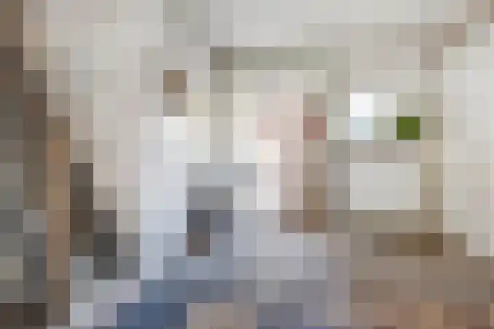 Kloosterwal 2 Nieuwstadt thumbnail 24