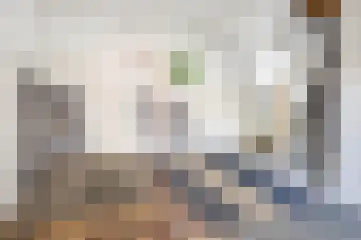 Kloosterwal 2 Nieuwstadt thumbnail 25