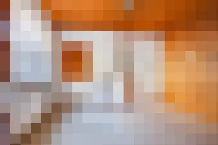 Kloosterwal 2 Nieuwstadt thumbnail 7
