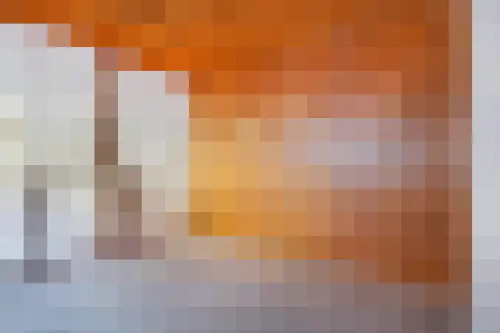 Kloosterwal 2 Nieuwstadt thumbnail 8