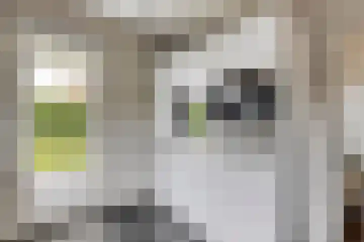 Kloosterweg 1 Valkenburg thumbnail 15