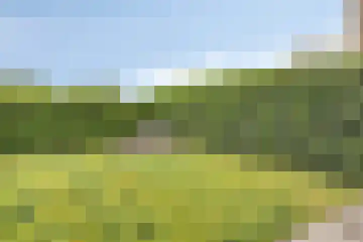 Kloosterweg 1 Valkenburg thumbnail 41