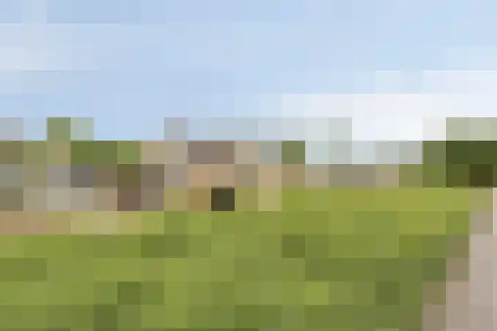 Kloosterweg 1 Valkenburg thumbnail 47