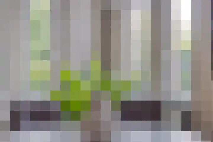 Kloosterweg 1 Valkenburg thumbnail 6