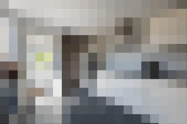 Kloosterweg 10 Harmelen thumbnail 11