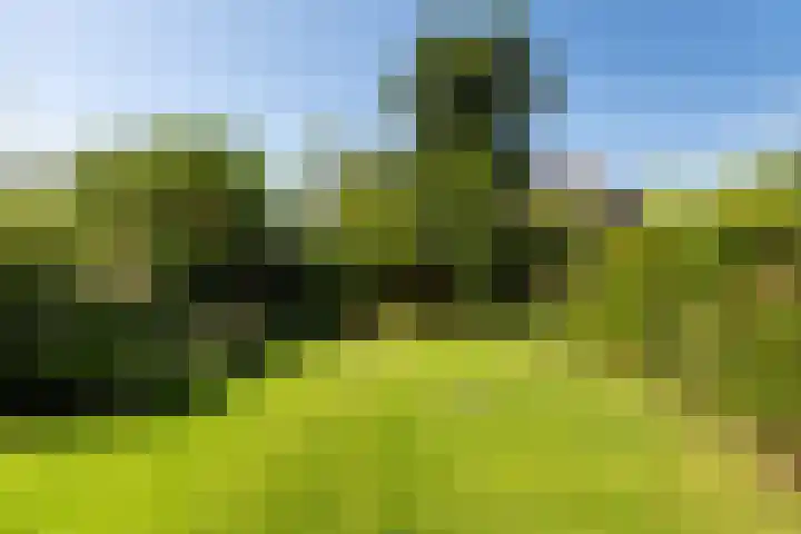 Kloosterweg 10 Harmelen thumbnail 22