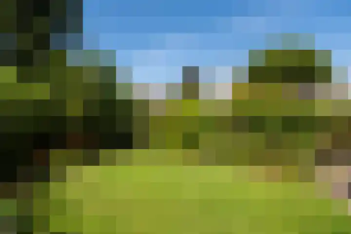 Kloosterweg 10 Harmelen thumbnail 23
