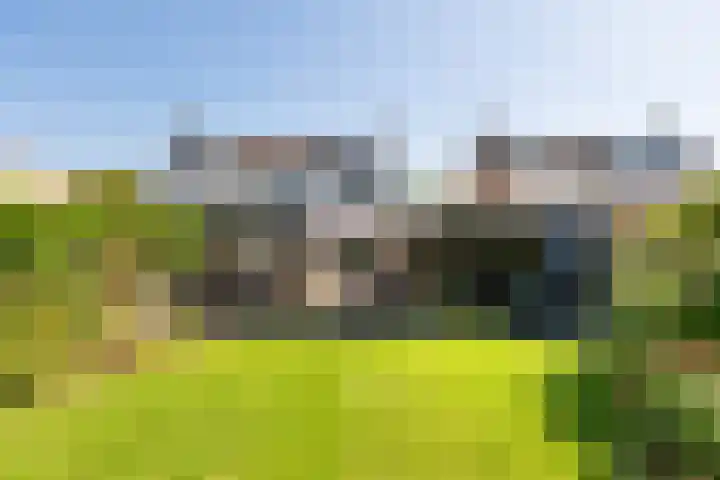 Kloosterweg 10 Harmelen thumbnail 4